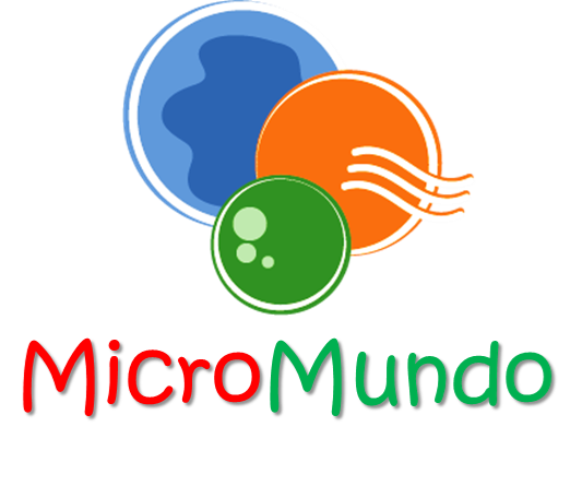 logo-micromundo